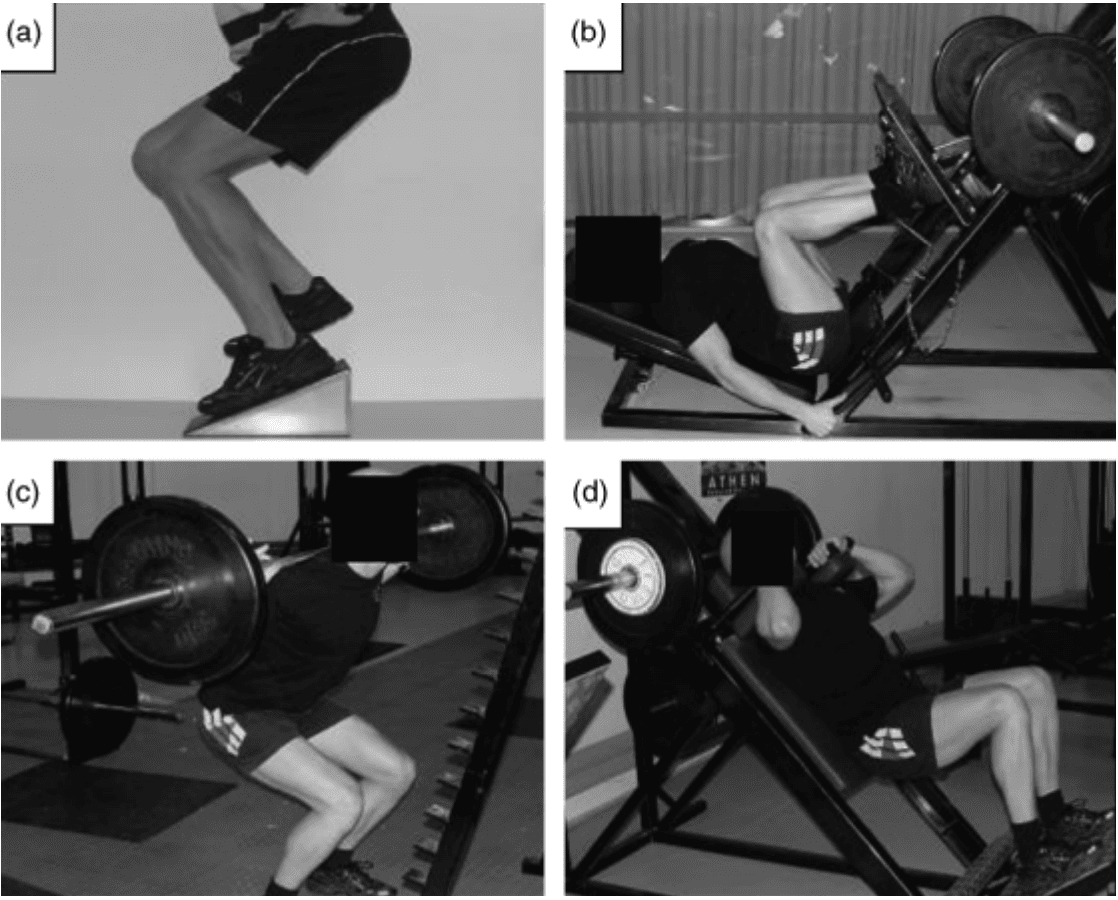 Best Patellar Tendinopathy Exercises Best Patellar Tendinitis Exercises