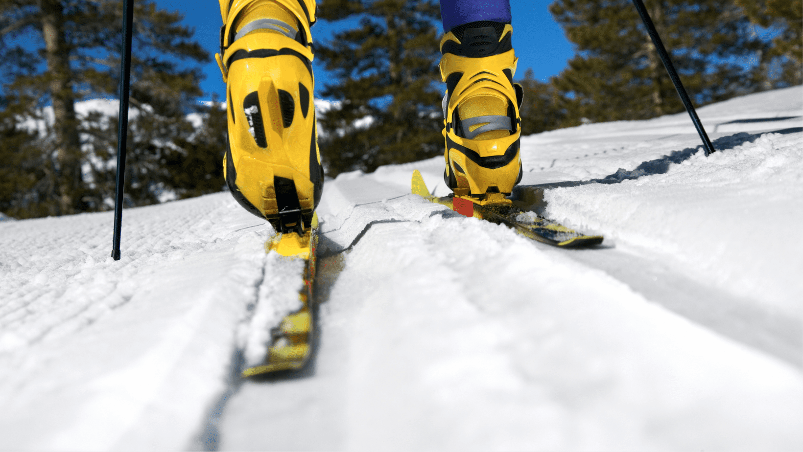 Crosscountry Skiing following Total Knee Replacement (TKR)