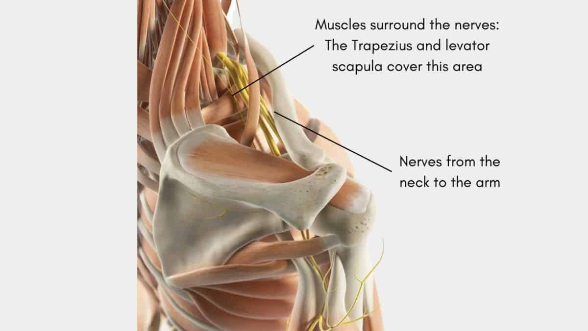massage-for-trapped-nerve