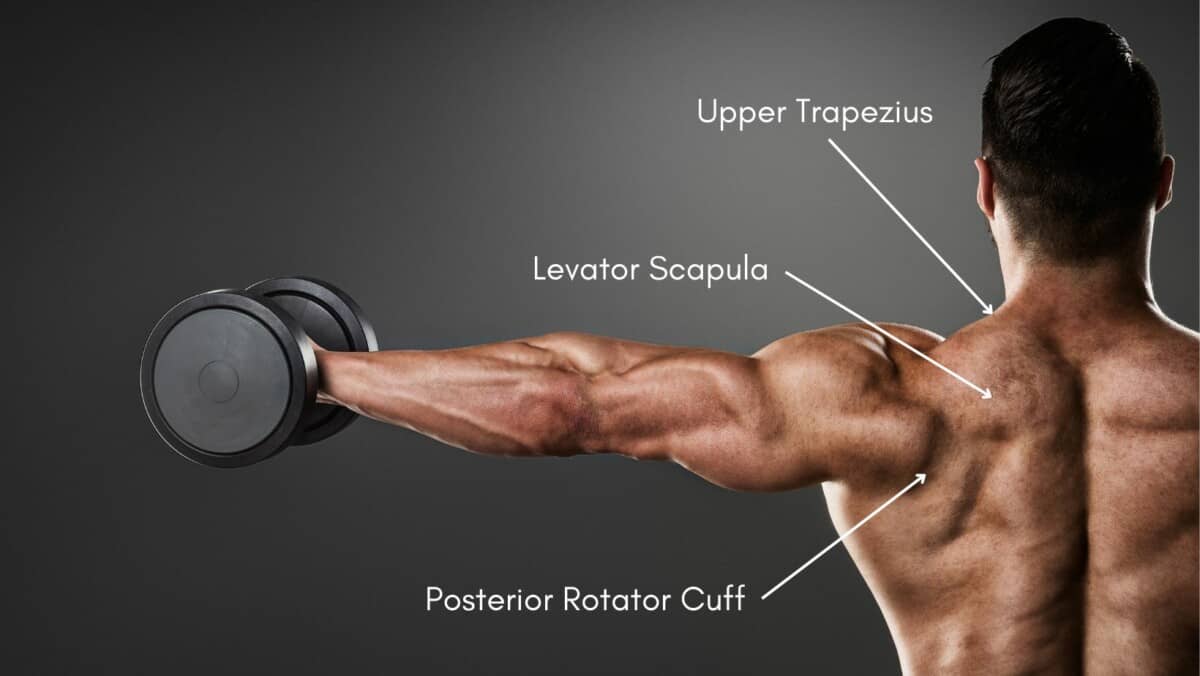 Get Your Shoulders Back on Track: Treating Trapezius Muscle Injuries