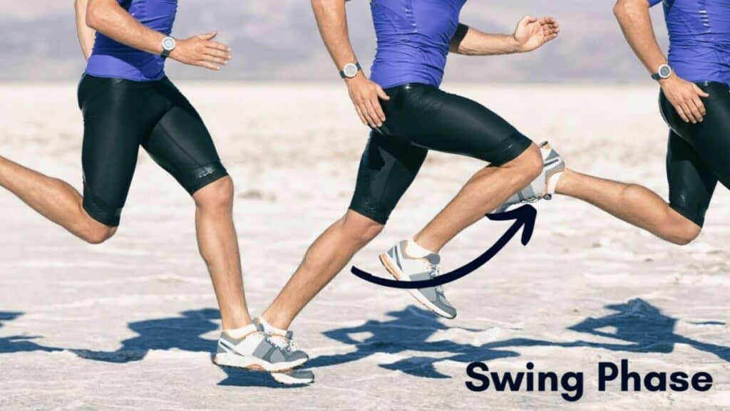 Picture of the Swing Phase of Running